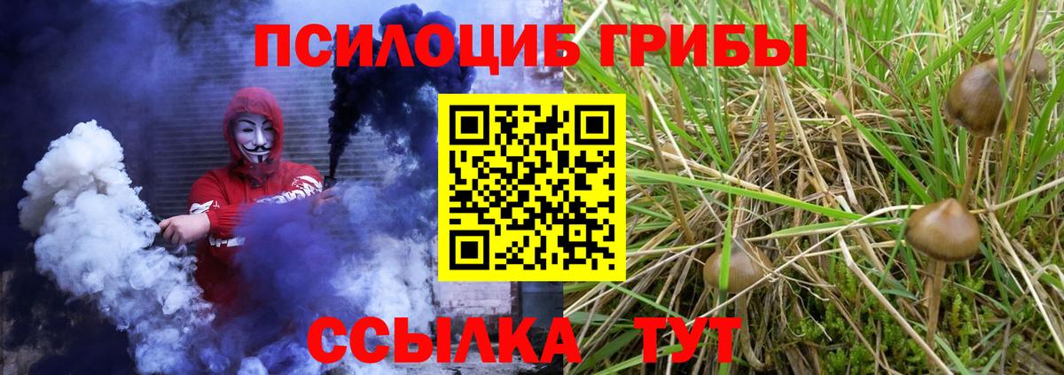 Галлюциногенные грибы Psilocybe  Вход с VPN  Десногорск 